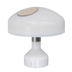 Somfy 1860306 Animeo Weather Station M8 czujnik pogodowy